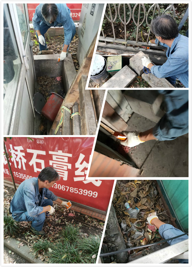 mg冰球突破市场发展冬季灭鼠