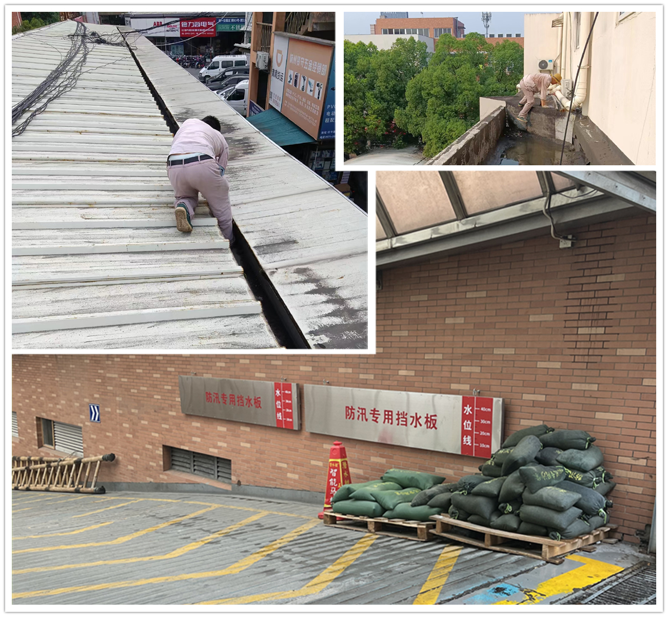 应对台风“梅花” mg冰球突破市场在行动