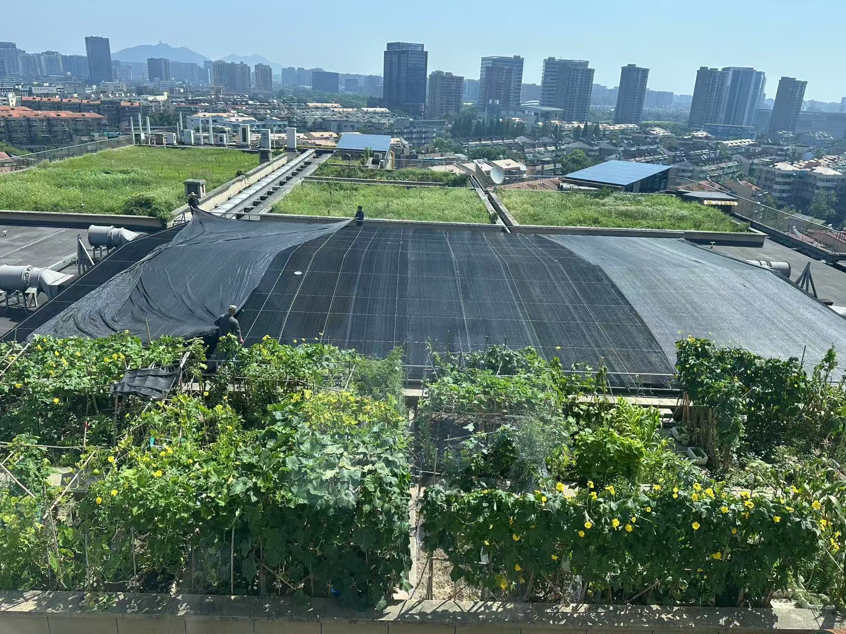 水晶城巧施」刳阳术“，为节能降耗注入清冷动力