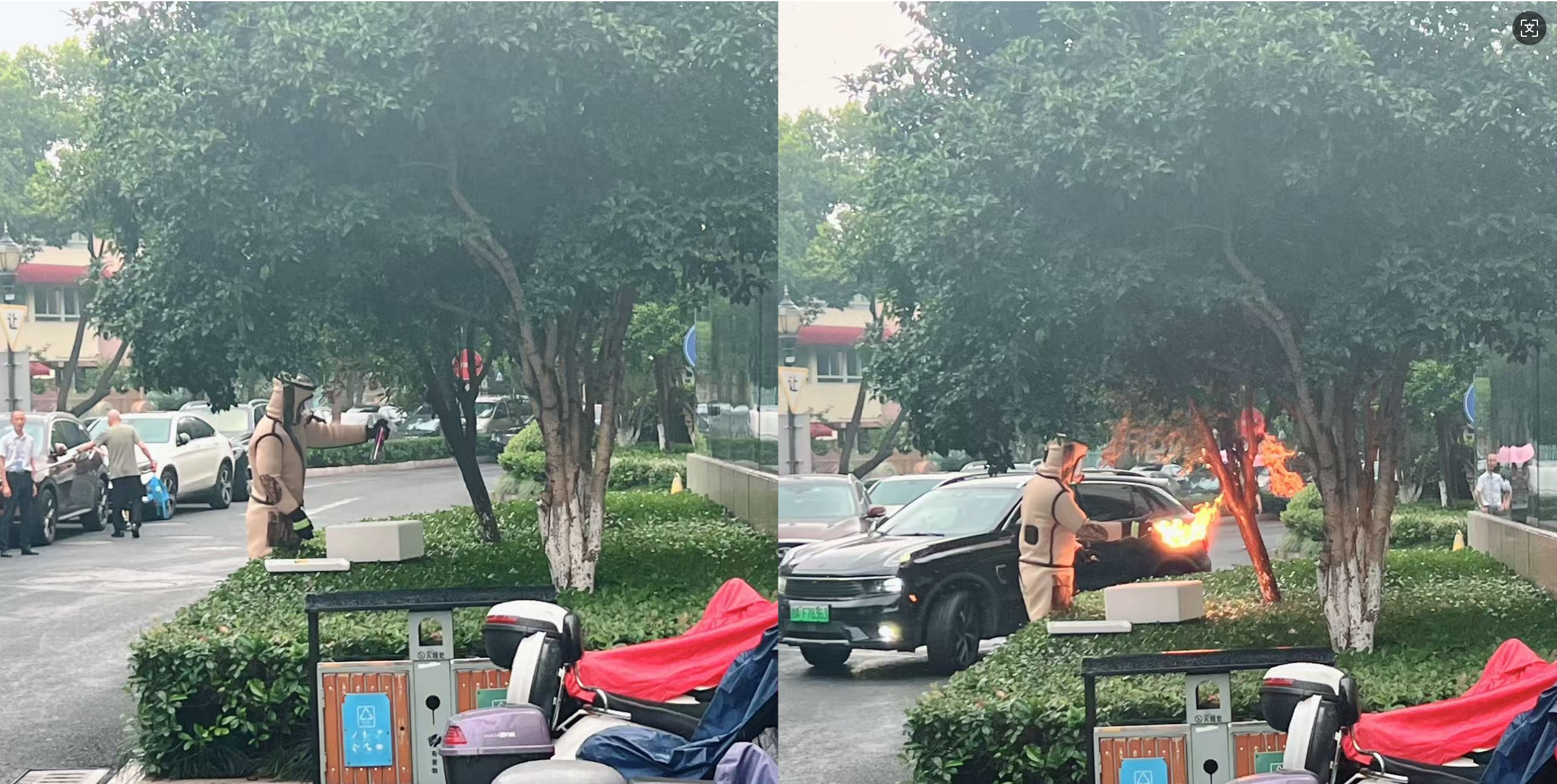 安全守护零距离，水晶城急剧措置表围蜂群隐患