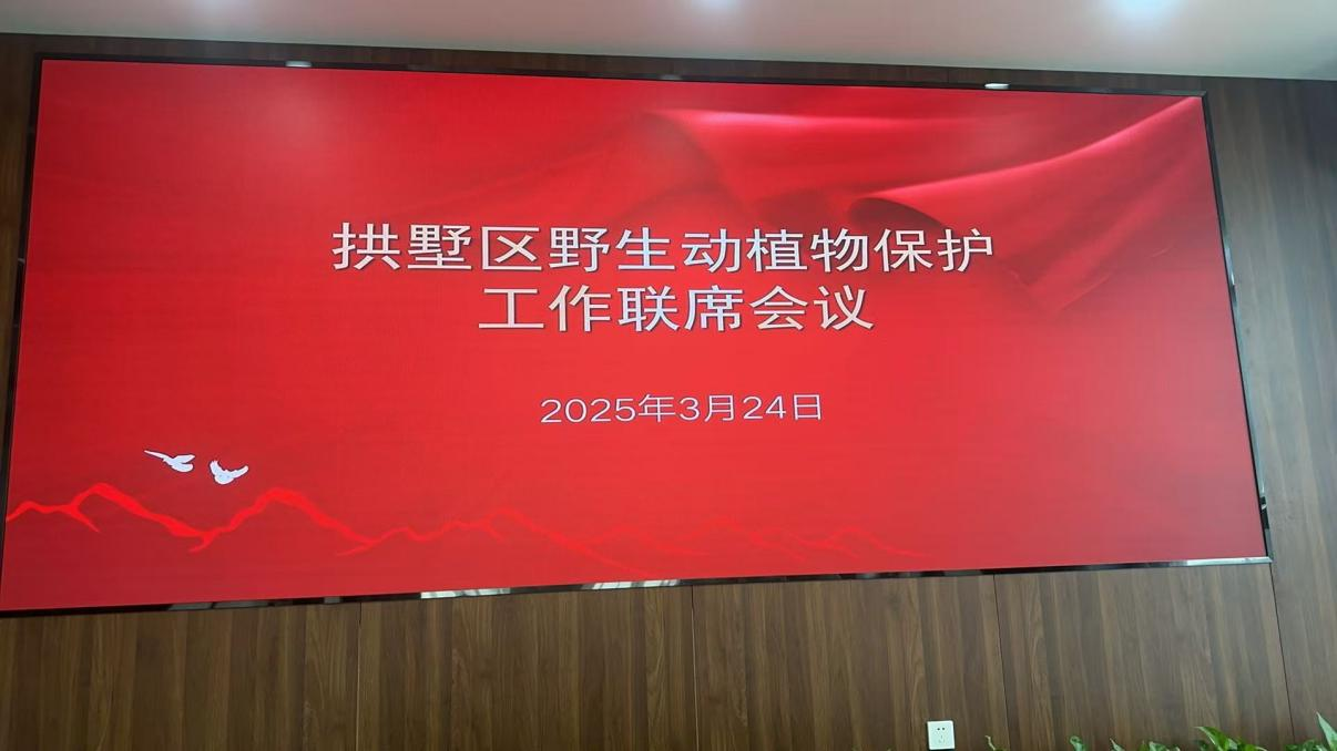 钱江商城参与拱墅区野活泼植物；すぷ髁嵋