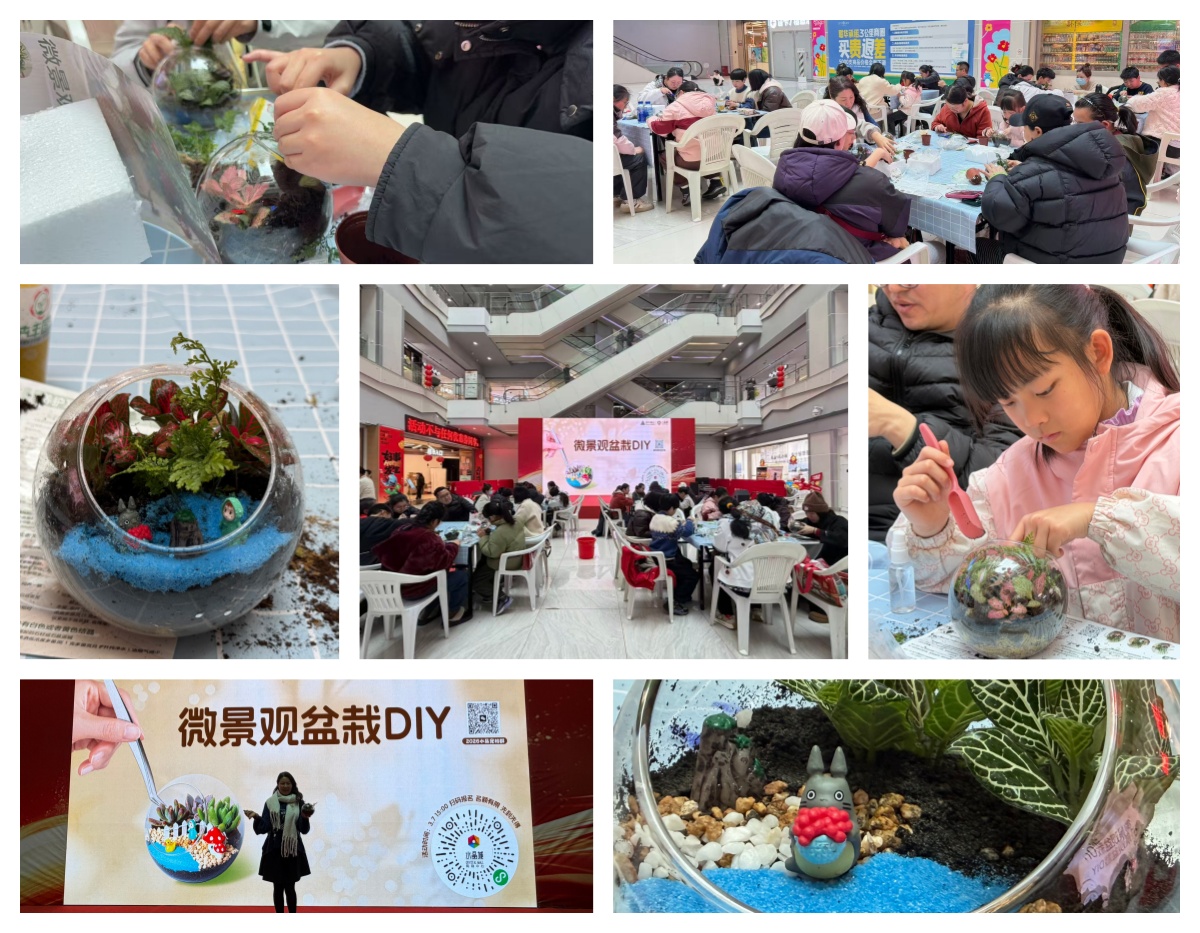 巧手造微景，指尖绽春意——水晶城微景观盆栽 DIY 活动圆满进行